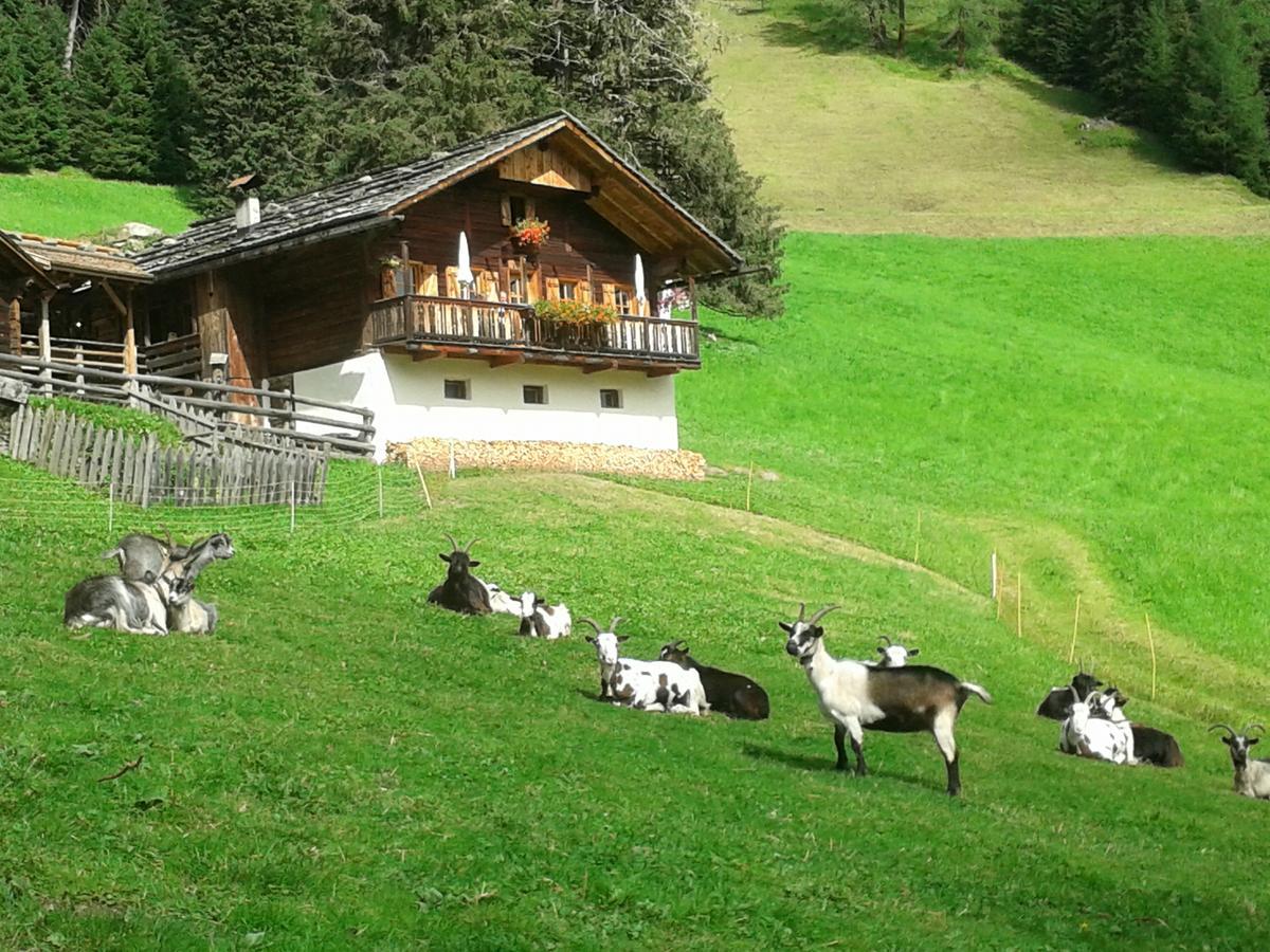 Hotel Poernbacher Olang Buitenkant foto